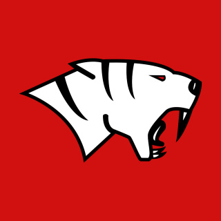 AFC Emden Tigers 